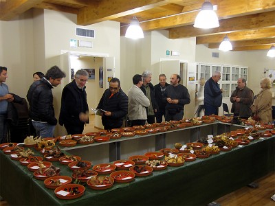 Mostra micologica 2013.JPG