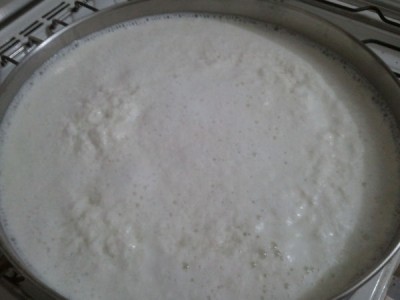 ricotta di bufala 1.jpg