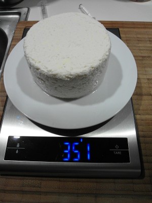 Ricotta Stagionata Prima.JPG