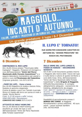 Copia di VOLANTINO LUPO 6-7 DICEMBRE.jpg