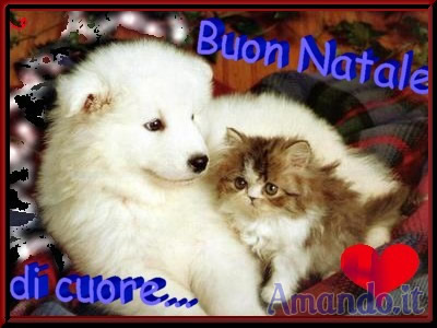 Buon Natale!.jpeg