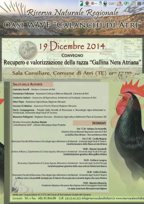 Convegno Gallina nera 19 Dicembre 2014.jpg