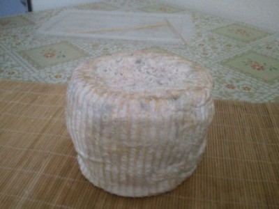 gorgonzola bufala..jpg