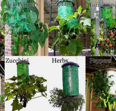 HOT-SELL-UPSIDE-DOWN-font-b-TOMATO-b-font-HERBS-VEGETABLE-ETC-PLANTER-A-REVOLUTIONARY-WAY.jpg