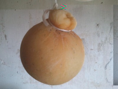 caciocavallo bufala.jpg