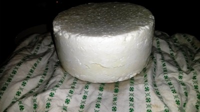 Pecorino.jpg