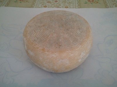 Asiago di bufala.jpg