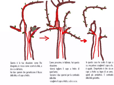 spiegazione speroni.jpg