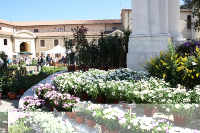 ANCONA FLOWER SHOW.jpg