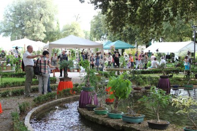 Perugia Flower Show_.JPG