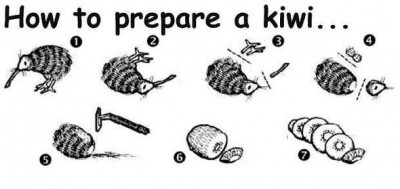 preparazionekiwi.jpg