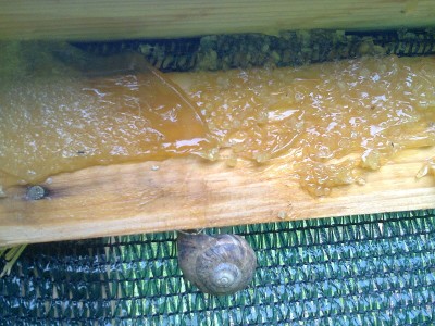 Foto0494.jpg (258.32 KiB) Osservato 1082 volte Foto0494.jpg