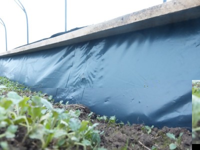 P1010797 (Copia).JPG (98.66 KiB) Osservato 1090 volte P1010797 (Copia).JPG