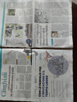 IMG_20240423_092948.jpg (125.67 KiB) Osservato 1915 volte IMG_20240423_092948.jpg