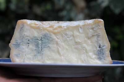 gorgo pezzata-bufala-podolica taglio.jpg (44.27 KiB) Osservato 2323 volte gorgo pezzata-bufala-podolica taglio.jpg