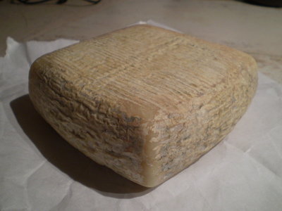 P6100008.JPG (157.28 KiB) Osservato 7316 volte P6100008.JPG