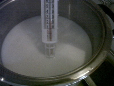 Latte a 25 gradi. / r2.jpg r2.jpg