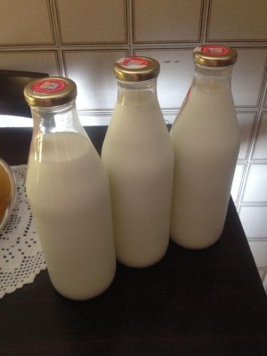 1.jpg (41.32 KiB) Osservato 4270 volte 1.jpg