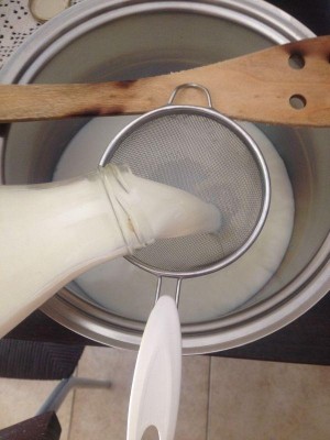 2.jpg (55.53 KiB) Osservato 4270 volte 2.jpg