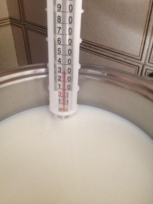 3.jpg (45.68 KiB) Osservato 4270 volte 3.jpg