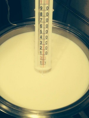 Listener1.jpg (37.43 KiB) Osservato 4751 volte Listener1.jpg