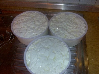 8-estrazione.jpg 8-estrazione.jpg