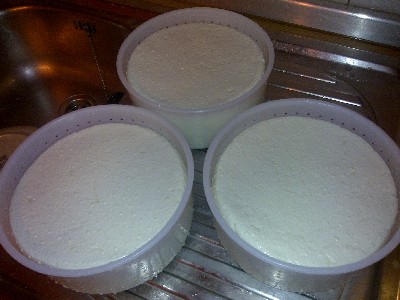 9-I rivoltamento.jpg 9-I rivoltamento.jpg