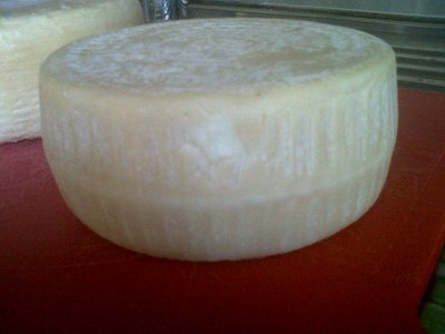 Pasta cremosa che, fuoriesce dallo scalzo della forma più piccola. / T19.JPG T19.JPG