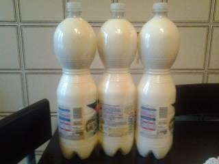 Latte di pecora 4,5 litri. / 1.jpg 1.jpg