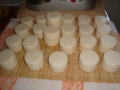 qui dopo la salamoia / DSC00175.JPG DSC00175.JPG