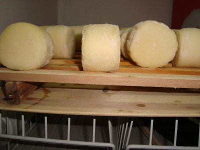 DSC00178.JPG (135.13 KiB) Osservato 1453 volte DSC00178.JPG