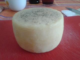 Listener.jpg Listener.jpg