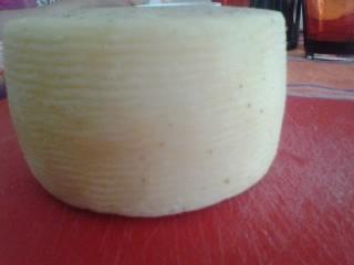 Listener (1).jpg Listener (1).jpg