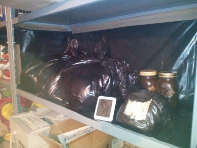 18360540_10210370791199436_1545891255_n.jpg (93.97 KiB) Osservato 6574 volte 18360540_10210370791199436_1545891255_n.jpg