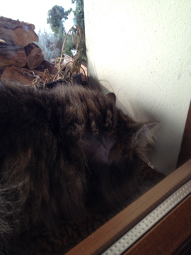 IMG_0141.jpg IMG_0141.jpg