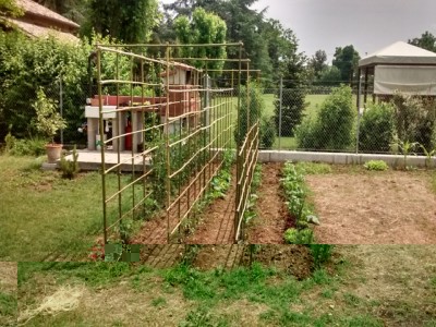 orto.jpg (391.17 KiB) Osservato 1122 volte orto.jpg