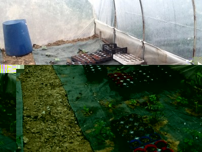 image.jpeg (320.66 KiB) Osservato 892 volte image.jpeg