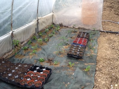 image.jpeg (308.14 KiB) Osservato 892 volte image.jpeg