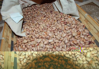 366.JPG (232.21 KiB) Osservato 777 volte 366.JPG