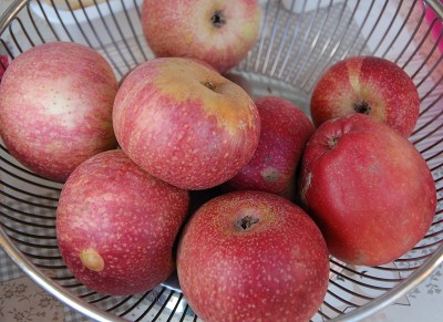 367.JPG (225.23 KiB) Osservato 777 volte 367.JPG