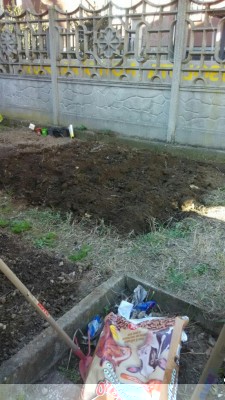 Vangatura / WhatsApp Image 2017-03-11 at 14.39.14 (1).jpeg WhatsApp Image 2017-03-11 at 14.39.14 (1).jpeg