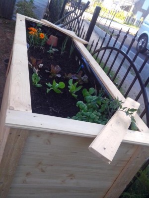 07.06.2017 698.jpeg (96.21 KiB) Osservato 775 volte 07.06.2017 698.jpeg