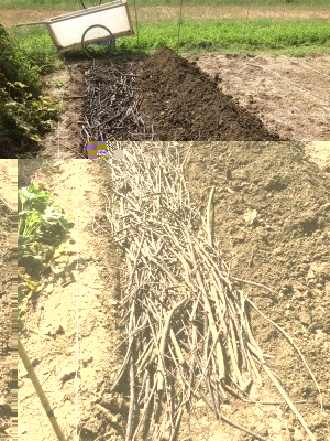 03.09.17 048.JPG (179.42 KiB) Osservato 750 volte 03.09.17 048.JPG