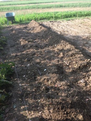 03.09.17 052.JPG (207.33 KiB) Osservato 750 volte 03.09.17 052.JPG