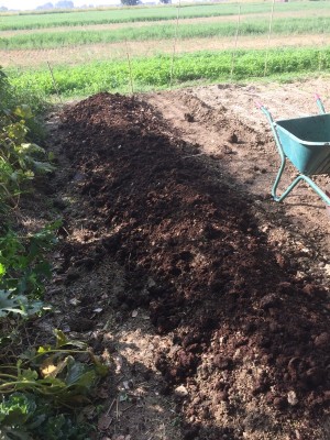 03.09.17 066.JPG (328.62 KiB) Osservato 750 volte 03.09.17 066.JPG