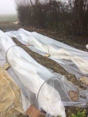 16.01.18 026.JPG (214.91 KiB) Osservato 920 volte 16.01.18 026.JPG