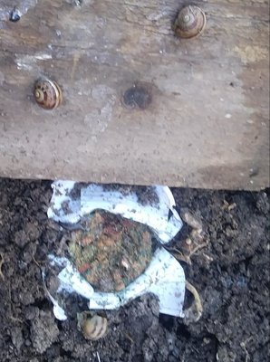 lu.jpg (107.88 KiB) Osservato 1286 volte lu.jpg