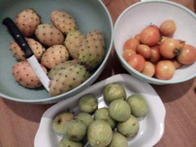 I pomodori delle piantine di Totò, i fichi dell albero Fico, i fichi d india di Ahio e Ohio / IMG_20190831_095152.jpg IMG_20190831_095152.jpg