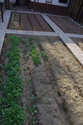 IMGP0960.JPG (150.06 KiB) Osservato 2036 volte IMGP0960.JPG