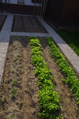 IMGP0961.JPG (145.57 KiB) Osservato 2036 volte IMGP0961.JPG